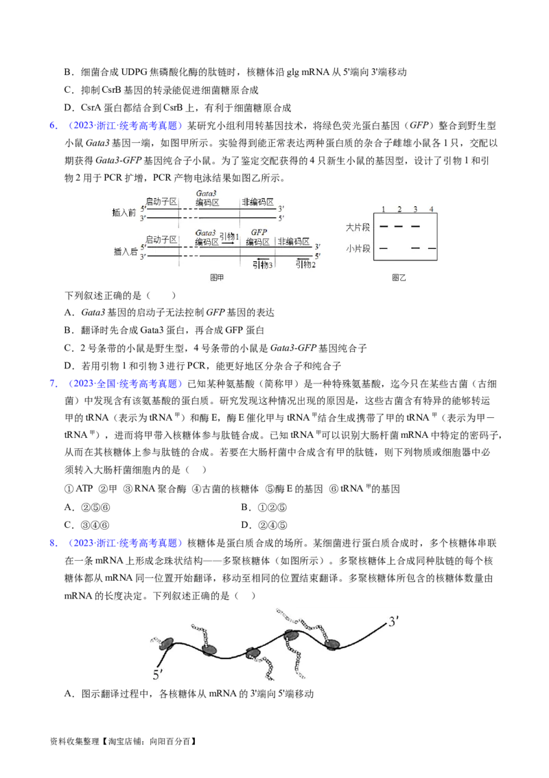 专题08遗传的分子基础-五年（2019-2023）高考生物真题分项汇编（全国通用）（原卷版）_赠送：2008-2024全套高考真题_高考生物真题_送高考生物五年真题(2019-2023)分项汇编（全国通用）