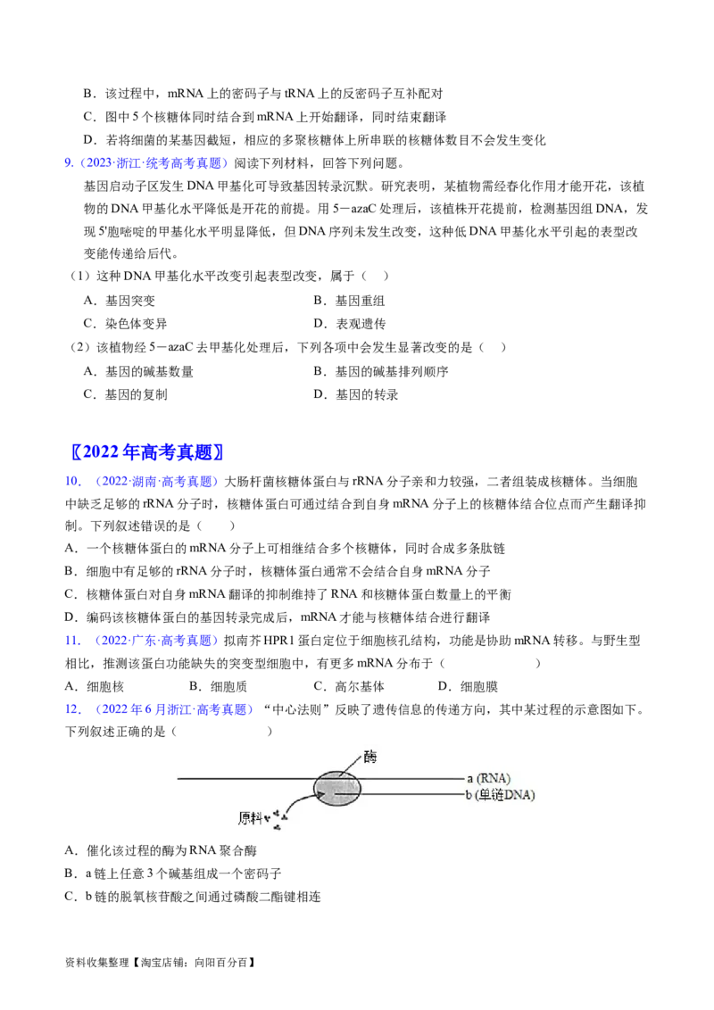专题08遗传的分子基础-五年（2019-2023）高考生物真题分项汇编（全国通用）（原卷版）_赠送：2008-2024全套高考真题_高考生物真题_送高考生物五年真题(2019-2023)分项汇编（全国通用）