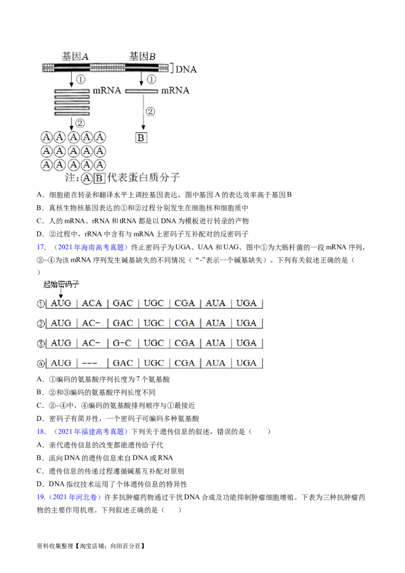 专题08遗传的分子基础-五年（2019-2023）高考生物真题分项汇编（全国通用）（原卷版）_赠送：2008-2024全套高考真题_高考生物真题_送高考生物五年真题(2019-2023)分项汇编（全国通用）