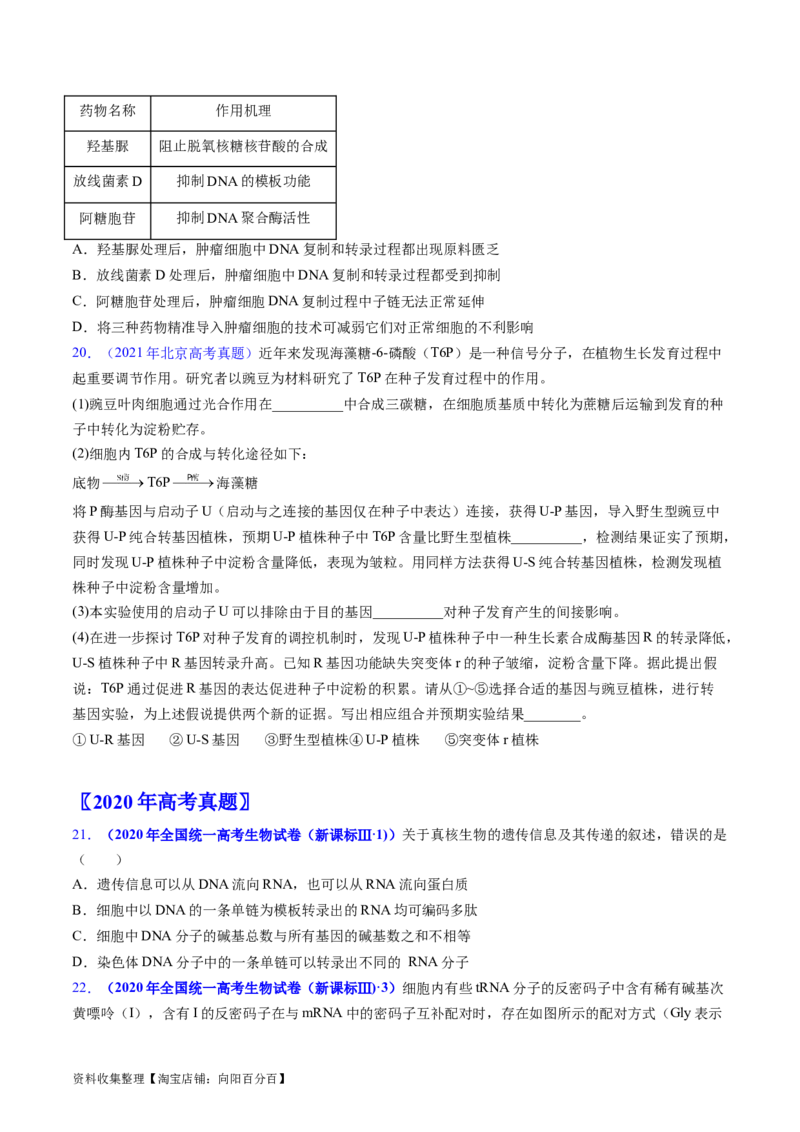 专题08遗传的分子基础-五年（2019-2023）高考生物真题分项汇编（全国通用）（原卷版）_赠送：2008-2024全套高考真题_高考生物真题_送高考生物五年真题(2019-2023)分项汇编（全国通用）
