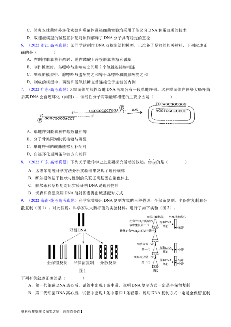专题08遗传的分子基础-五年（2019-2023）高考生物真题分项汇编（全国通用）（原卷版）_赠送：2008-2024全套高考真题_高考生物真题_送高考生物五年真题(2019-2023)分项汇编（全国通用）