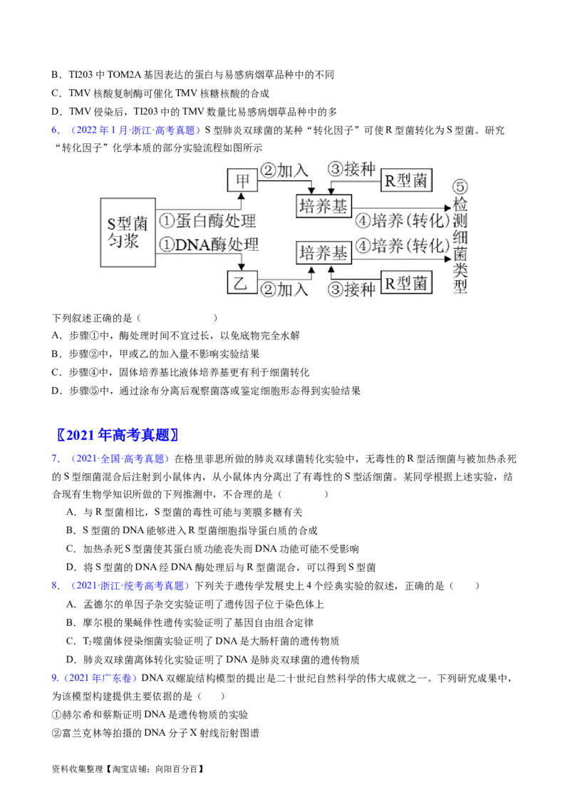 专题08遗传的分子基础-五年（2019-2023）高考生物真题分项汇编（全国通用）（原卷版）_赠送：2008-2024全套高考真题_高考生物真题_送高考生物五年真题(2019-2023)分项汇编（全国通用）