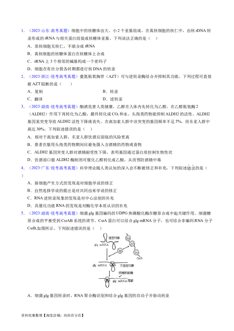 专题08遗传的分子基础-五年（2019-2023）高考生物真题分项汇编（全国通用）（原卷版）_赠送：2008-2024全套高考真题_高考生物真题_送高考生物五年真题(2019-2023)分项汇编（全国通用）