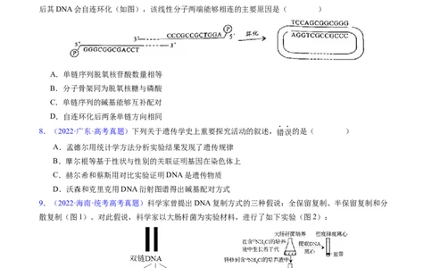 专题08遗传的分子基础-五年（2019-2023）高考生物真题分项汇编（全国通用）（原卷版）_赠送：2008-2024全套高考真题_高考生物真题_送高考生物五年真题(2019-2023)分项汇编（全国通用）
