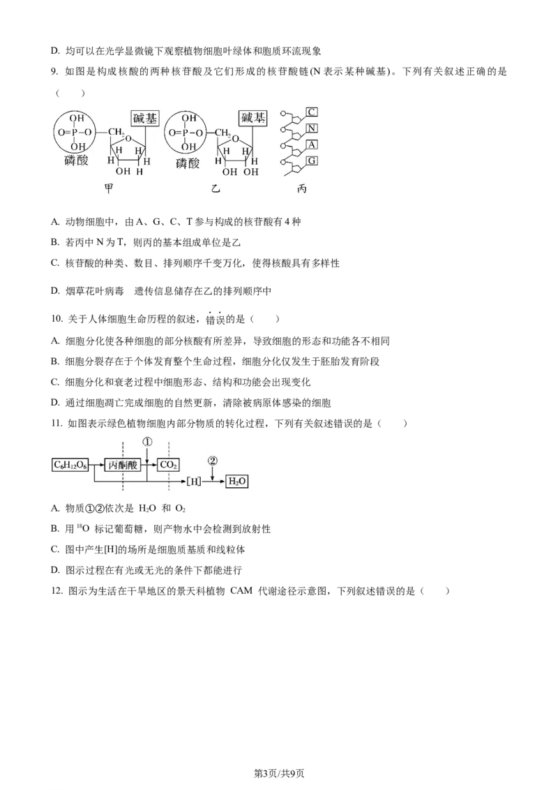 精品解析：江苏省盐城市建湖二中、盐城大冈中学2023-2024学年高三10月月考生物试题（原卷版）(1)_2023年10月_0210月合集_2024届江苏省盐城市联盟校高三上学期10月第一次学情调研检测
