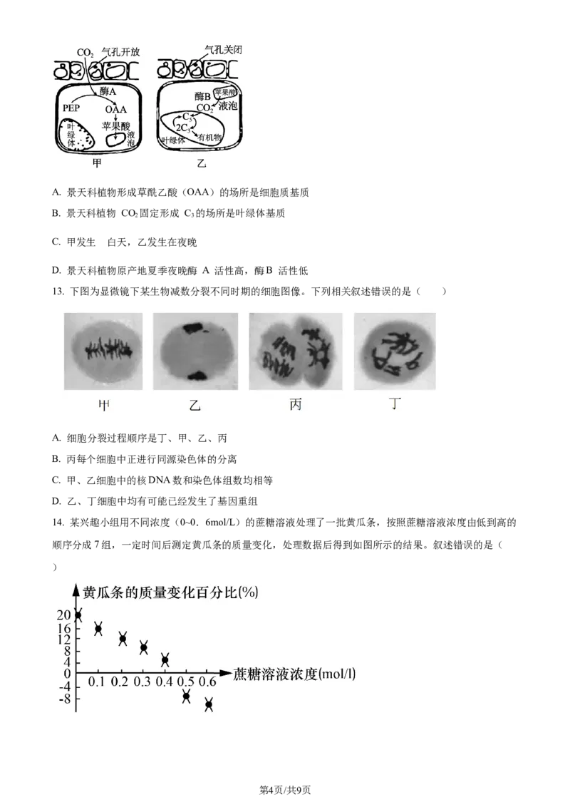 精品解析：江苏省盐城市建湖二中、盐城大冈中学2023-2024学年高三10月月考生物试题（原卷版）(1)_2023年10月_0210月合集_2024届江苏省盐城市联盟校高三上学期10月第一次学情调研检测