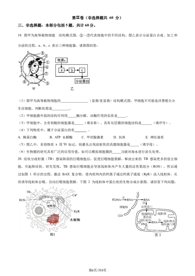 精品解析：江苏省盐城市建湖二中、盐城大冈中学2023-2024学年高三10月月考生物试题（原卷版）(1)_2023年10月_0210月合集_2024届江苏省盐城市联盟校高三上学期10月第一次学情调研检测
