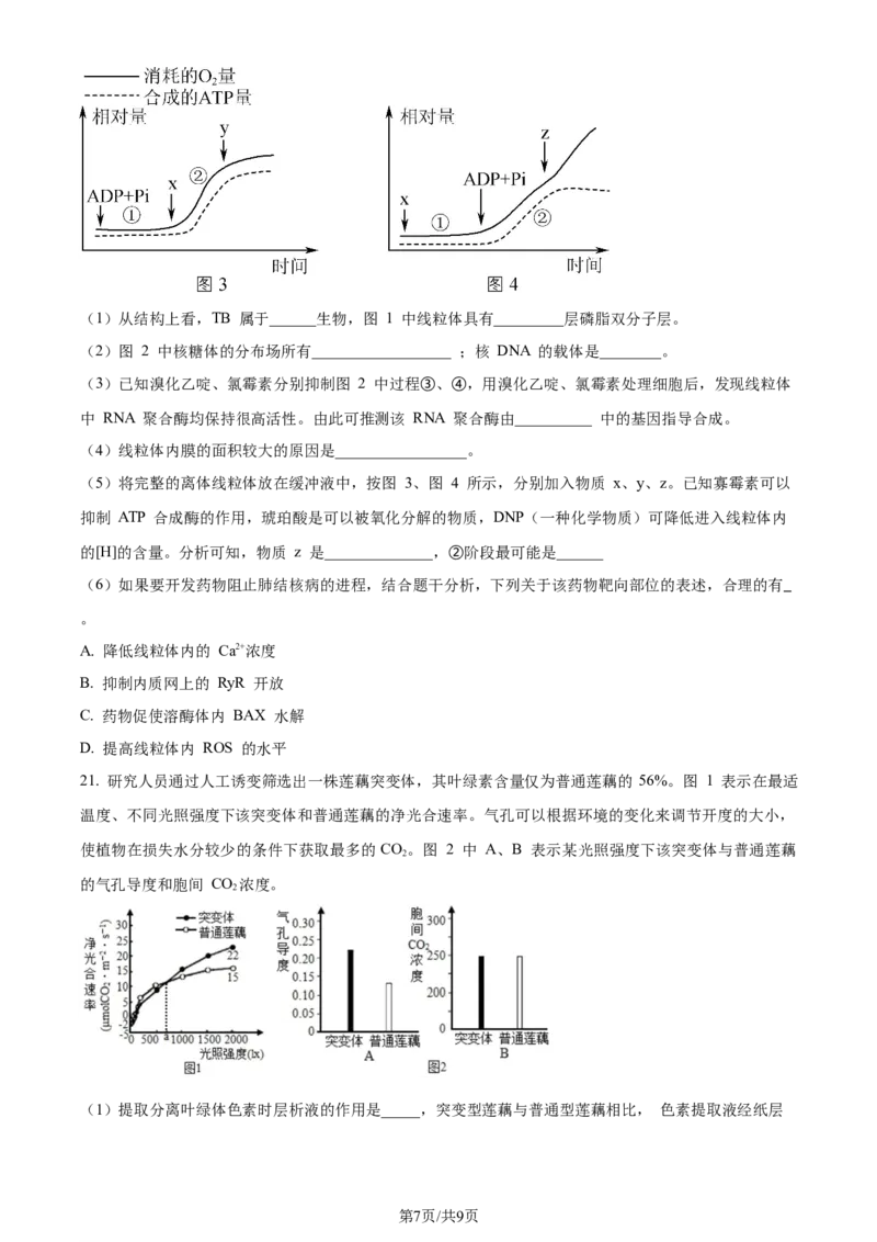 精品解析：江苏省盐城市建湖二中、盐城大冈中学2023-2024学年高三10月月考生物试题（原卷版）(1)_2023年10月_0210月合集_2024届江苏省盐城市联盟校高三上学期10月第一次学情调研检测