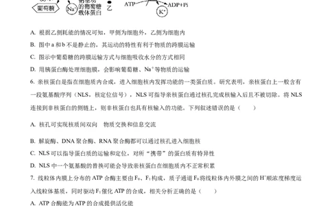 精品解析：江苏省盐城市建湖二中、盐城大冈中学2023-2024学年高三10月月考生物试题（原卷版）(1)_2023年10月_0210月合集_2024届江苏省盐城市联盟校高三上学期10月第一次学情调研检测