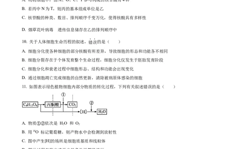精品解析：江苏省盐城市建湖二中、盐城大冈中学2023-2024学年高三10月月考生物试题（原卷版）(1)_2023年10月_0210月合集_2024届江苏省盐城市联盟校高三上学期10月第一次学情调研检测