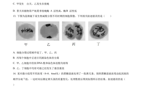 精品解析：江苏省盐城市建湖二中、盐城大冈中学2023-2024学年高三10月月考生物试题（原卷版）(1)_2023年10月_0210月合集_2024届江苏省盐城市联盟校高三上学期10月第一次学情调研检测