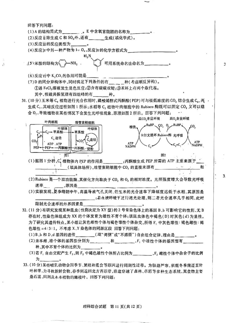 2024届河南省焦作市普通高中高三上学期第一次模拟考试理科综合试题_2024年2月_022月合集_2024届河南省天一大联考高中毕业班阶段性测试（五）