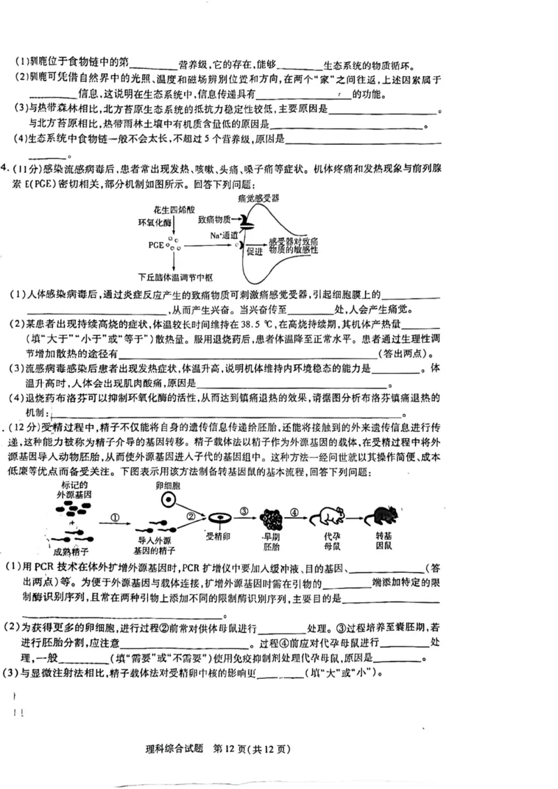 2024届河南省焦作市普通高中高三上学期第一次模拟考试理科综合试题_2024年2月_022月合集_2024届河南省天一大联考高中毕业班阶段性测试（五）