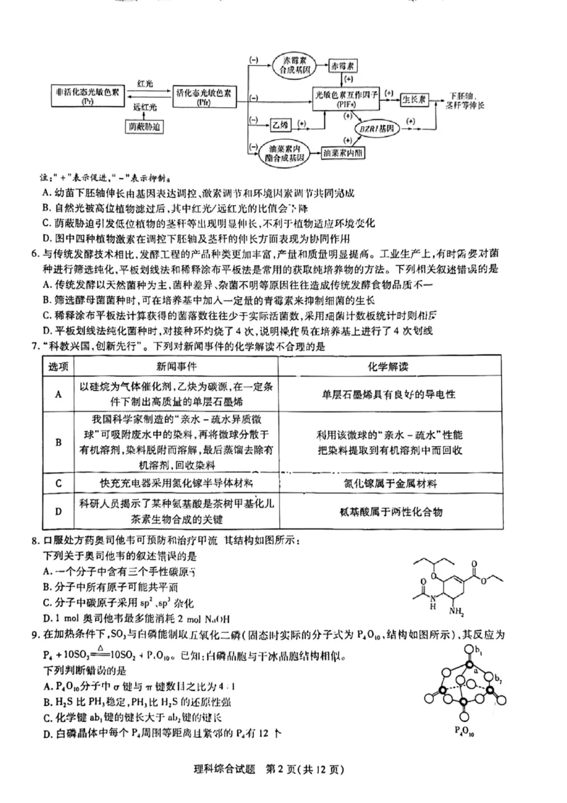 2024届河南省焦作市普通高中高三上学期第一次模拟考试理科综合试题_2024年2月_022月合集_2024届河南省天一大联考高中毕业班阶段性测试（五）