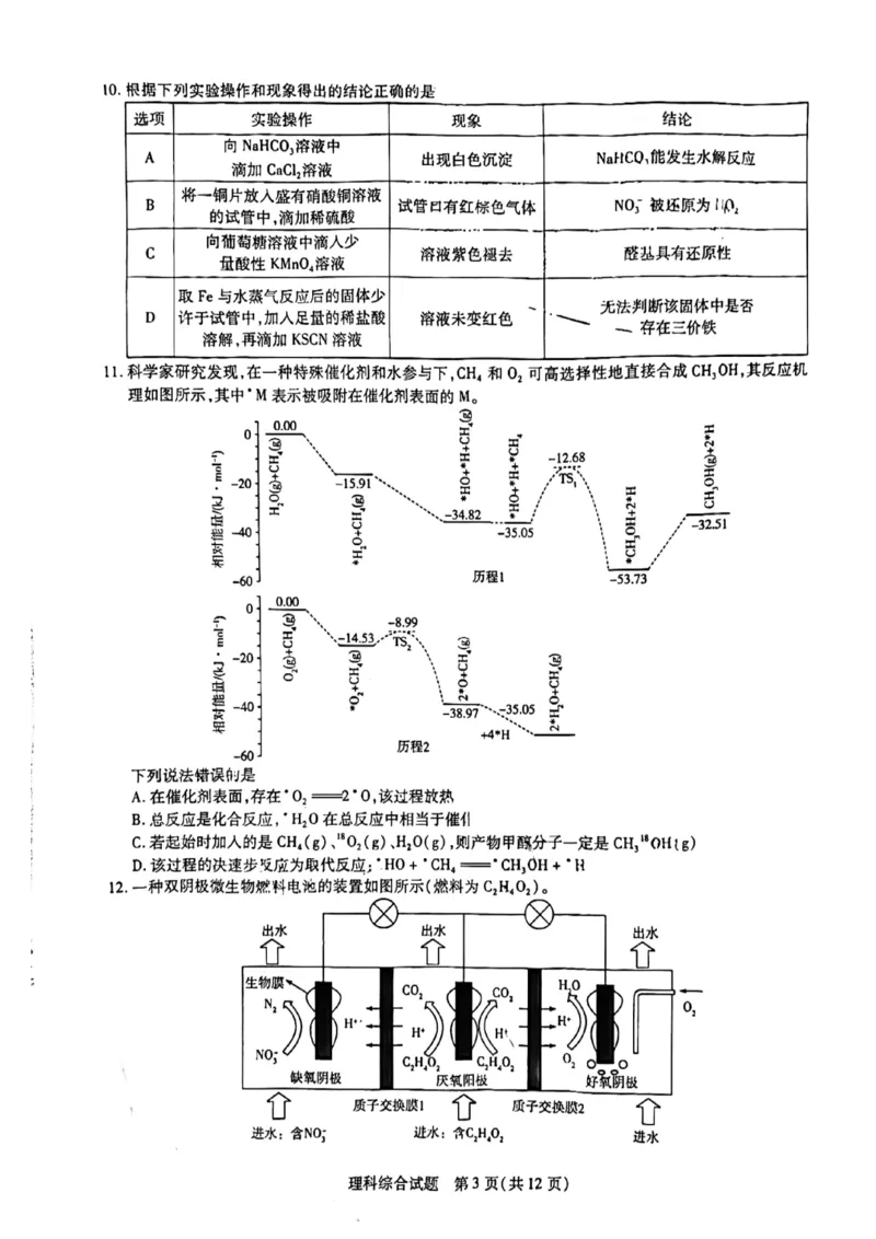 2024届河南省焦作市普通高中高三上学期第一次模拟考试理科综合试题_2024年2月_022月合集_2024届河南省天一大联考高中毕业班阶段性测试（五）