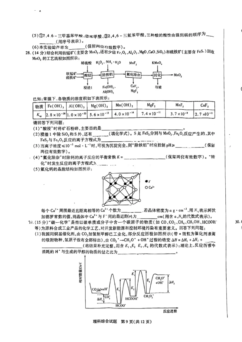 2024届河南省焦作市普通高中高三上学期第一次模拟考试理科综合试题_2024年2月_022月合集_2024届河南省天一大联考高中毕业班阶段性测试（五）