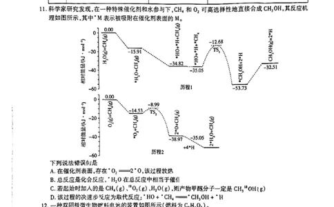 2024届河南省焦作市普通高中高三上学期第一次模拟考试理科综合试题_2024年2月_022月合集_2024届河南省天一大联考高中毕业班阶段性测试（五）