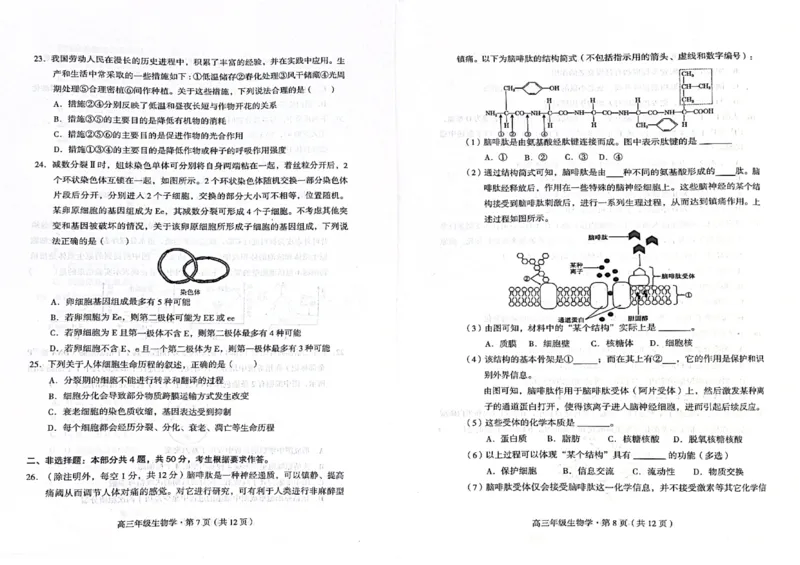 生物(1)_2023年10月_0210月合集_2024届云南省高三上学期10月第一次质量检测_云南省2024届高三上学期10月第一次质量检测生物