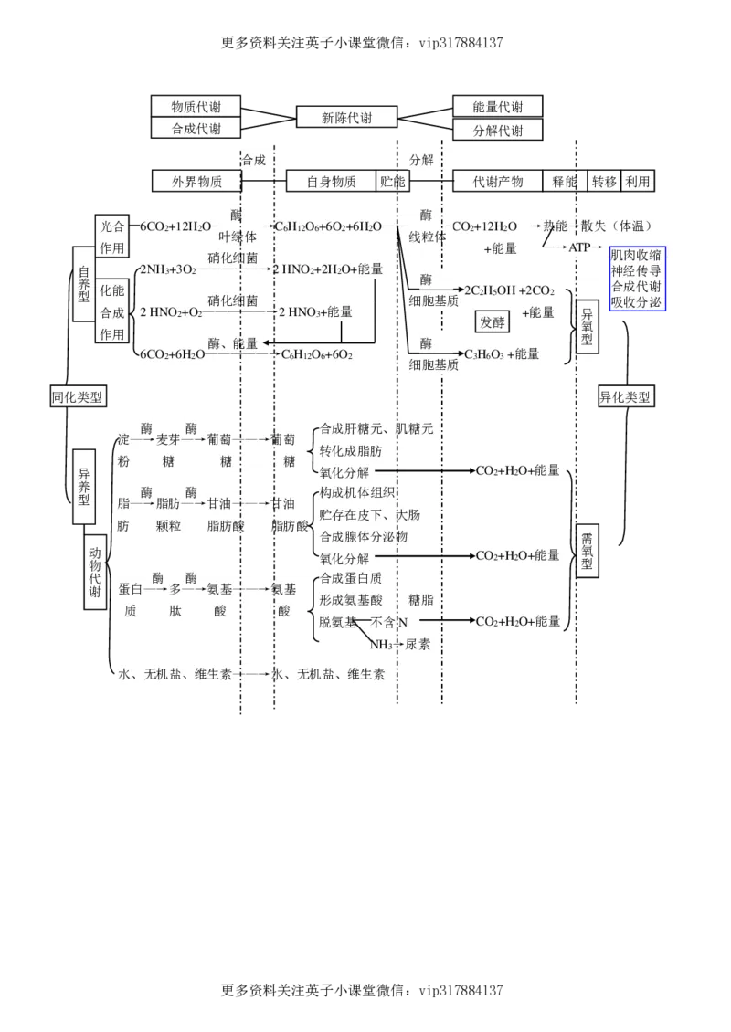 生物状元笔记高中-016页_赠送小初高学霸笔记等_赠_高考状元笔记