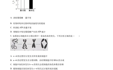 精品解析：贵州省贵阳市一中2023-2024学年高三10月月考生物试题（原卷版）(1)_2023年10月_0210月合集_2024届贵州省贵阳市第一中学高三上学期高考适应性月考（二）
