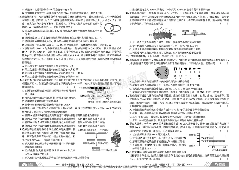 新高考《正确小卷》2024总复习生物质检卷_2024高考押题卷_72024正确教育全系列_2024年正确小卷全系列_（新高考）2024《正确小卷&middot;复习质检卷》（九科全）各两套