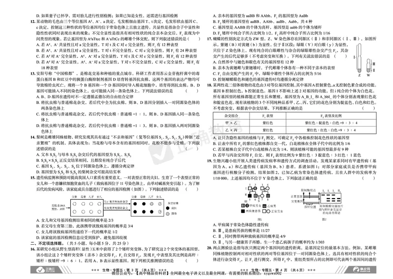 新高考《正确小卷》2024总复习生物质检卷_2024高考押题卷_72024正确教育全系列_2024年正确小卷全系列_（新高考）2024《正确小卷&middot;复习质检卷》（九科全）各两套
