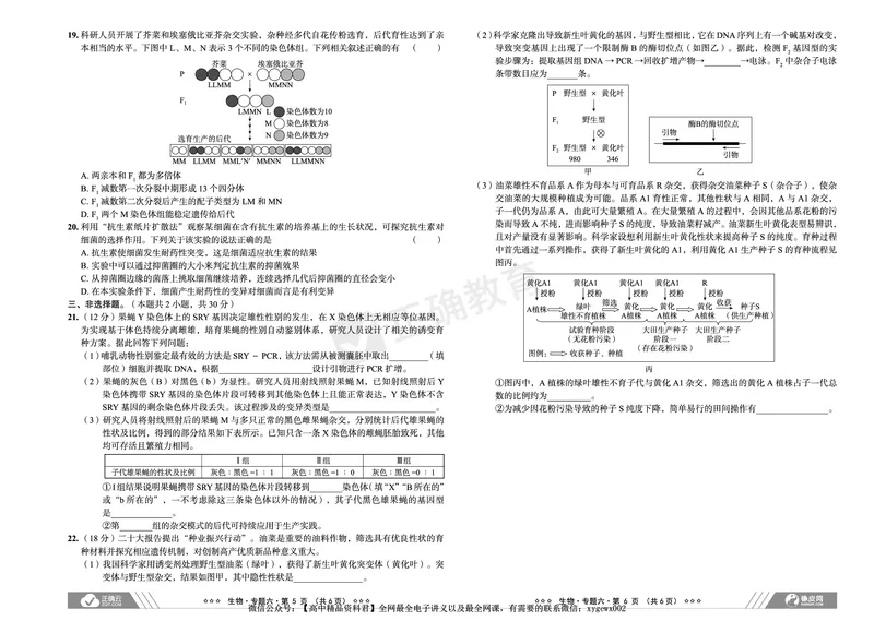 新高考《正确小卷》2024总复习生物质检卷_2024高考押题卷_72024正确教育全系列_2024年正确小卷全系列_（新高考）2024《正确小卷&middot;复习质检卷》（九科全）各两套