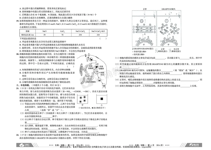 新高考《正确小卷》2024总复习生物质检卷_2024高考押题卷_72024正确教育全系列_2024年正确小卷全系列_（新高考）2024《正确小卷&middot;复习质检卷》（九科全）各两套