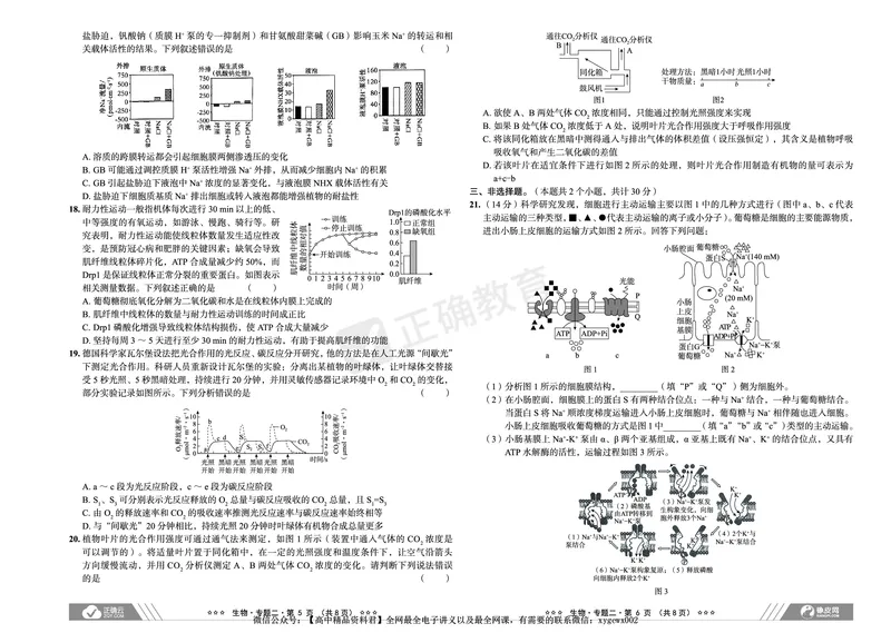 新高考《正确小卷》2024总复习生物质检卷_2024高考押题卷_72024正确教育全系列_2024年正确小卷全系列_（新高考）2024《正确小卷&middot;复习质检卷》（九科全）各两套