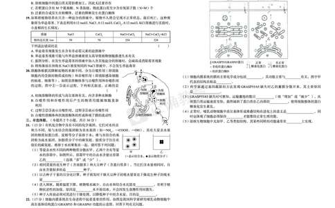 新高考《正确小卷》2024总复习生物质检卷_2024高考押题卷_72024正确教育全系列_2024年正确小卷全系列_（新高考）2024《正确小卷&middot;复习质检卷》（九科全）各两套