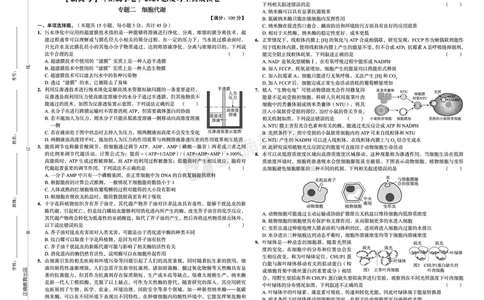 新高考《正确小卷》2024总复习生物质检卷_2024高考押题卷_72024正确教育全系列_2024年正确小卷全系列_（新高考）2024《正确小卷&middot;复习质检卷》（九科全）各两套