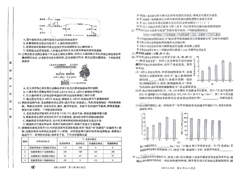生物_2023年9月_01每日更新_12号_2024届新疆省高三金太阳9月联考（1003C）_新疆省2024届高三金太阳9月联考（1003C）生物