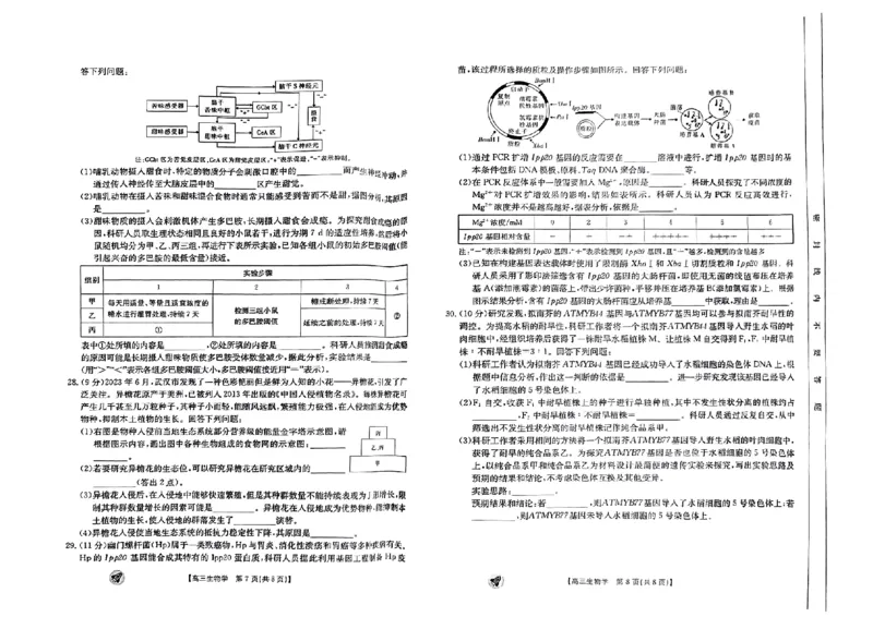 生物_2023年9月_01每日更新_12号_2024届新疆省高三金太阳9月联考（1003C）_新疆省2024届高三金太阳9月联考（1003C）生物