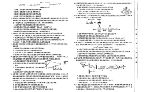 生物_2023年9月_01每日更新_12号_2024届新疆省高三金太阳9月联考（1003C）_新疆省2024届高三金太阳9月联考（1003C）生物