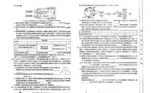 生物_2023年9月_01每日更新_12号_2024届新疆省高三金太阳9月联考（1003C）_新疆省2024届高三金太阳9月联考（1003C）生物