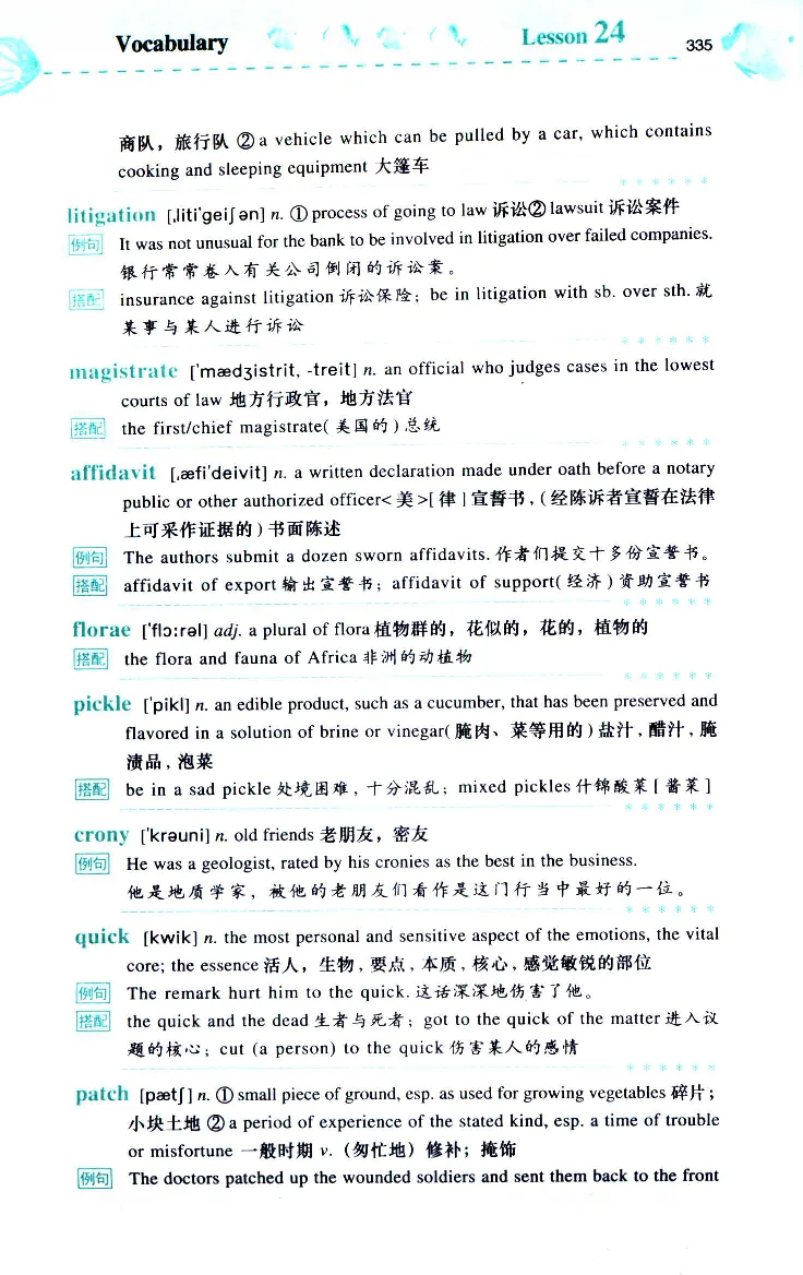 《如鱼得水：专业八级词汇语境记忆》_2025专四专八真题及备考资料_2025专八备考资料_2025专八华研、星火、冲击波等资料电子版合辑_2025专八词汇专题资料（英语主播皮卡丘）