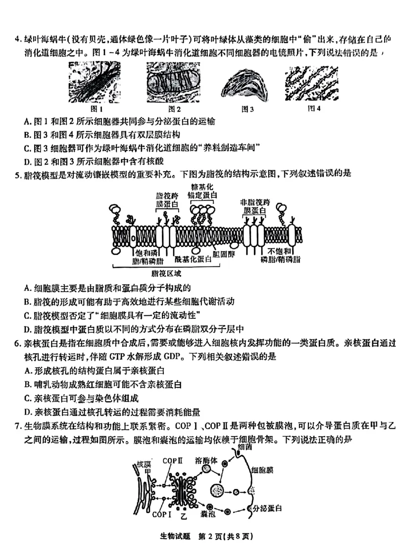 重庆市南开中学校2023-2024学年高三上学期开学考试生物(1)_2023年9月_029月合集_2024届重庆市南开中学校高三上学期开学考试