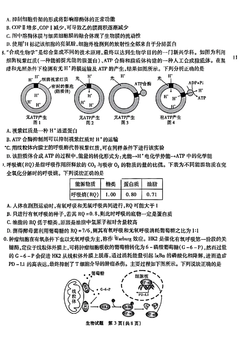 重庆市南开中学校2023-2024学年高三上学期开学考试生物(1)_2023年9月_029月合集_2024届重庆市南开中学校高三上学期开学考试