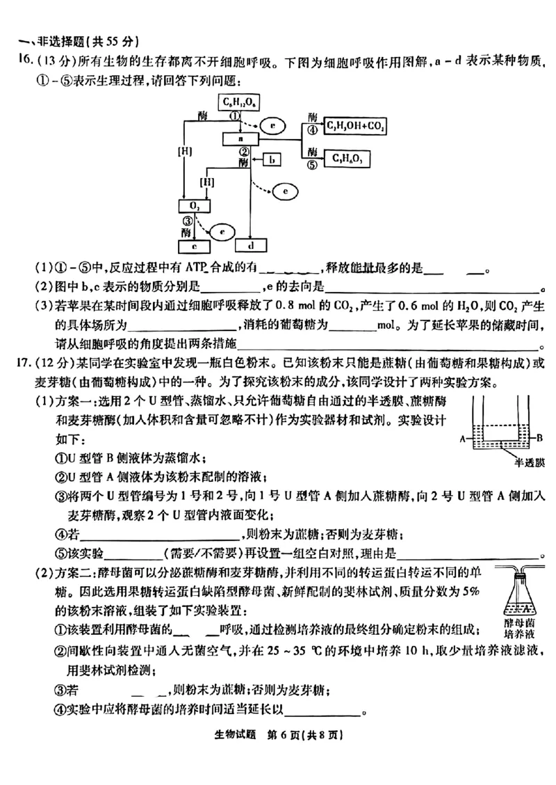 重庆市南开中学校2023-2024学年高三上学期开学考试生物(1)_2023年9月_029月合集_2024届重庆市南开中学校高三上学期开学考试