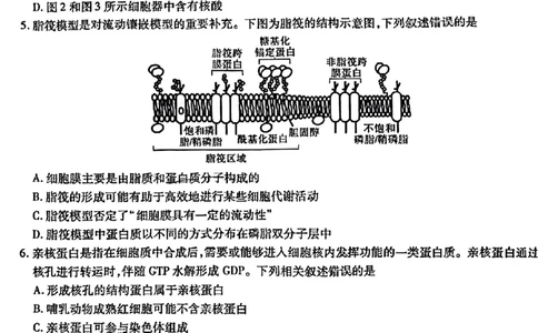 重庆市南开中学校2023-2024学年高三上学期开学考试生物(1)_2023年9月_029月合集_2024届重庆市南开中学校高三上学期开学考试