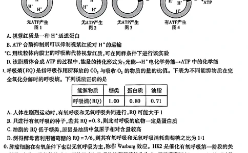 重庆市南开中学校2023-2024学年高三上学期开学考试生物(1)_2023年9月_029月合集_2024届重庆市南开中学校高三上学期开学考试