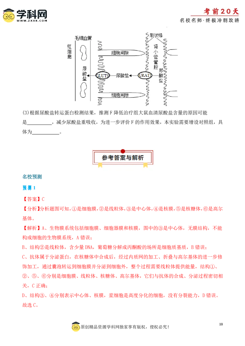 生物（一）-2024年高考考前20天终极冲刺攻略_2024高考押题卷_62024学科网全系列_21学科网高考考前终极攻略_生物-2024年高考考前20天终极冲刺攻略