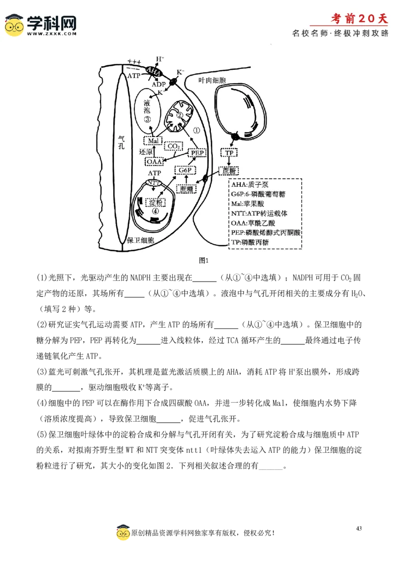 生物（一）-2024年高考考前20天终极冲刺攻略_2024高考押题卷_62024学科网全系列_21学科网高考考前终极攻略_生物-2024年高考考前20天终极冲刺攻略
