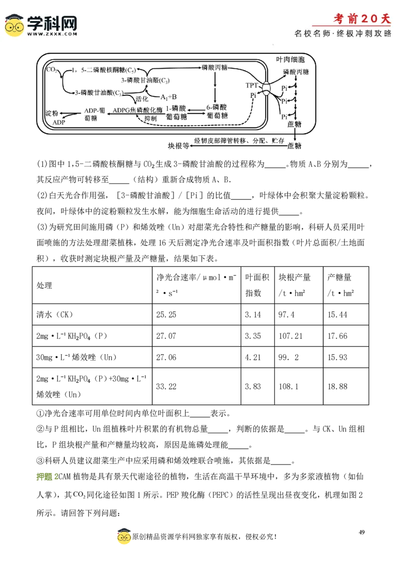 生物（一）-2024年高考考前20天终极冲刺攻略_2024高考押题卷_62024学科网全系列_21学科网高考考前终极攻略_生物-2024年高考考前20天终极冲刺攻略