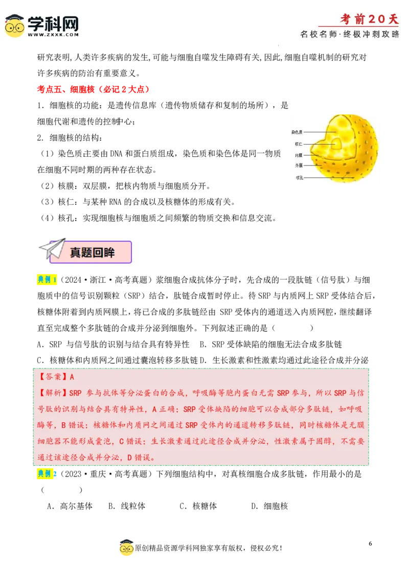 生物（一）-2024年高考考前20天终极冲刺攻略_2024高考押题卷_62024学科网全系列_21学科网高考考前终极攻略_生物-2024年高考考前20天终极冲刺攻略