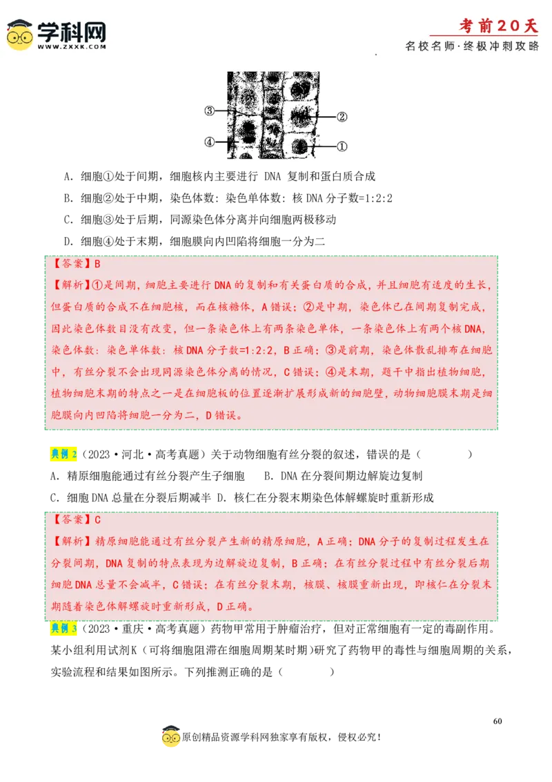生物（一）-2024年高考考前20天终极冲刺攻略_2024高考押题卷_62024学科网全系列_21学科网高考考前终极攻略_生物-2024年高考考前20天终极冲刺攻略