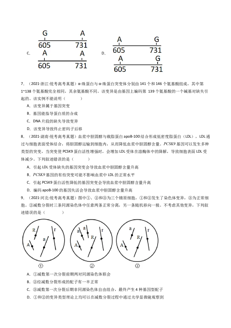 专题14变异、育种与进化（原卷卷）_近10年高考真题汇编（必刷）_十年（2014-2024）高考生物真题分项汇编（全国通用）_十年（2014-2023）高考生物真题分项汇编（全国通用）