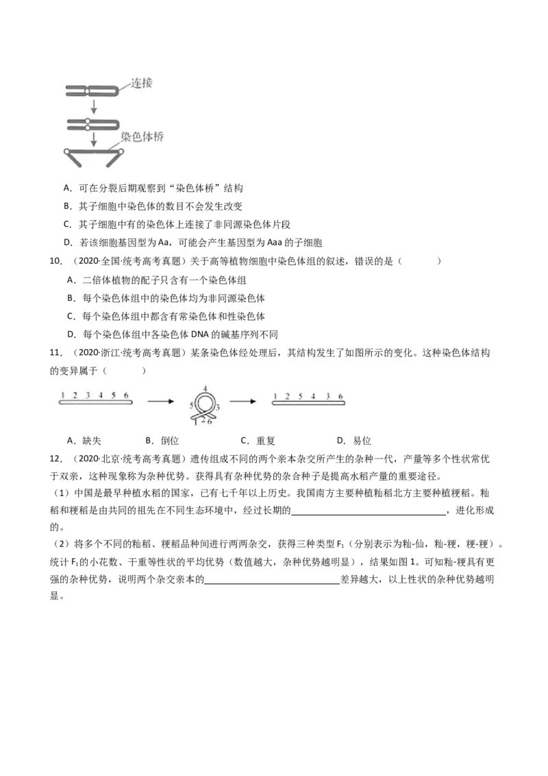 专题14变异、育种与进化（原卷卷）_近10年高考真题汇编（必刷）_十年（2014-2024）高考生物真题分项汇编（全国通用）_十年（2014-2023）高考生物真题分项汇编（全国通用）