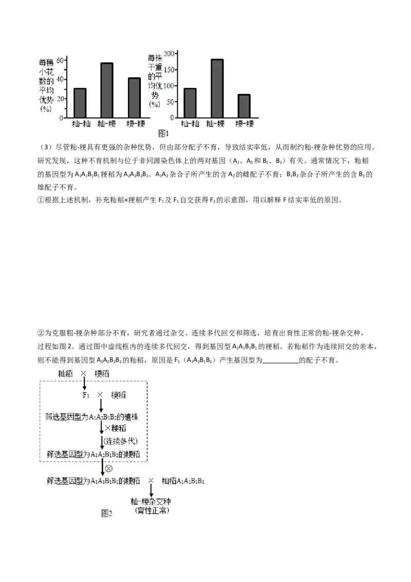 专题14变异、育种与进化（原卷卷）_近10年高考真题汇编（必刷）_十年（2014-2024）高考生物真题分项汇编（全国通用）_十年（2014-2023）高考生物真题分项汇编（全国通用）