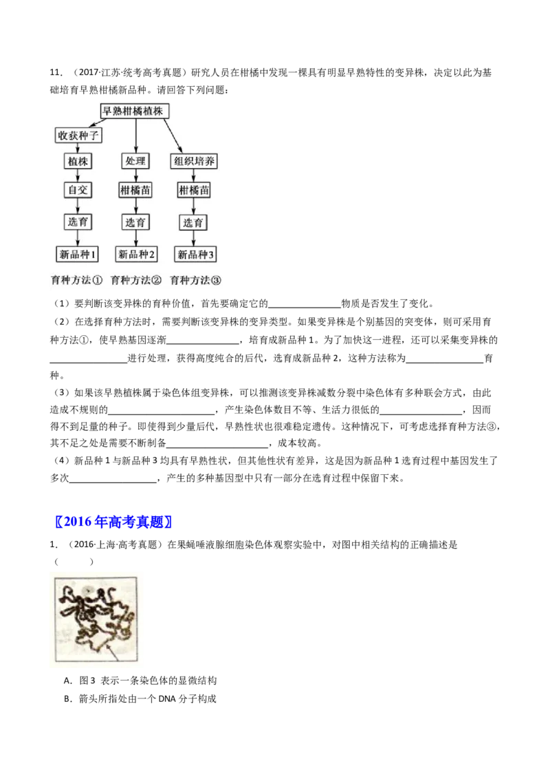 专题14变异、育种与进化（原卷卷）_近10年高考真题汇编（必刷）_十年（2014-2024）高考生物真题分项汇编（全国通用）_十年（2014-2023）高考生物真题分项汇编（全国通用）